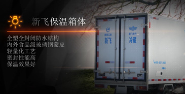新飛祥菱冷藏車(chē)